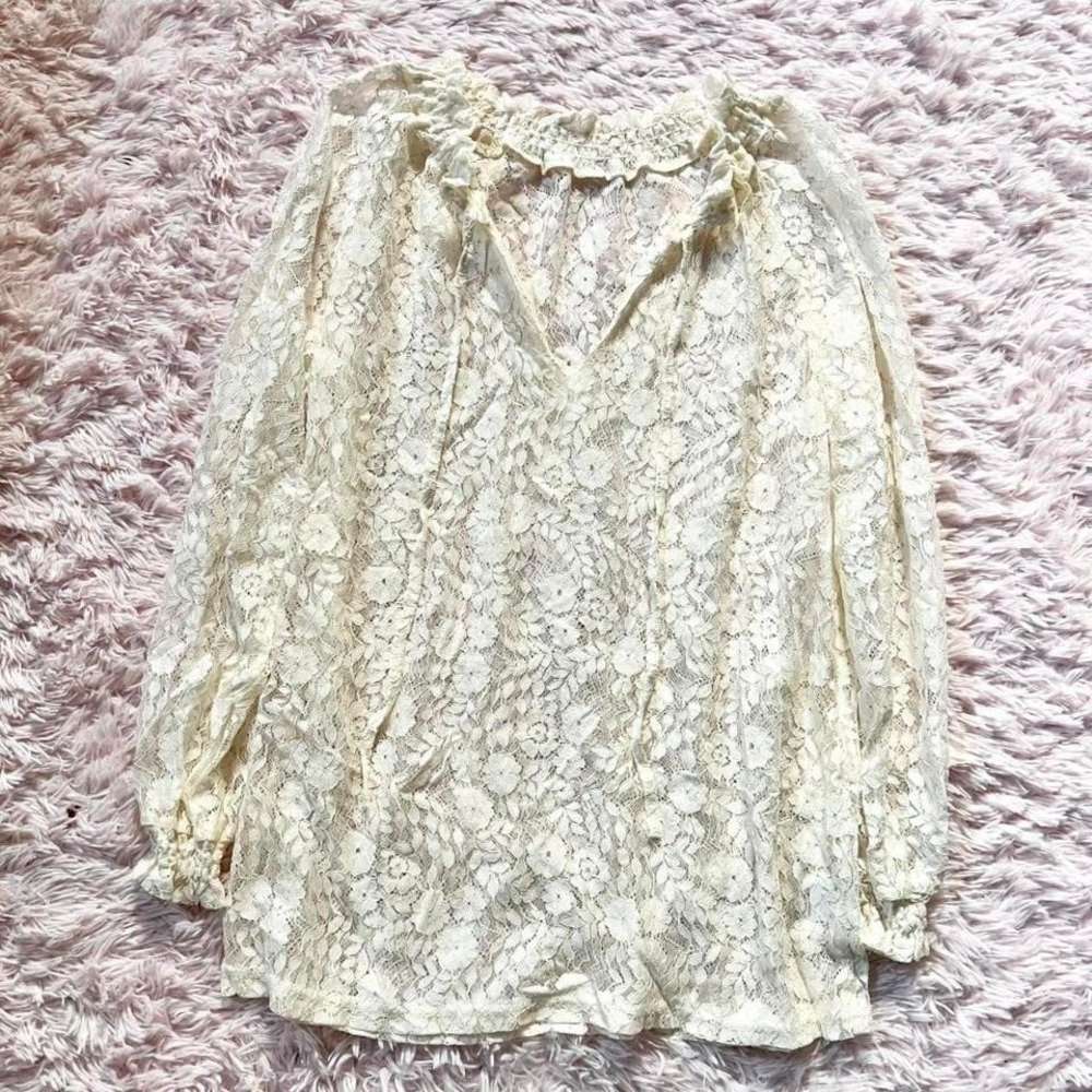 Sheer Delicate Lace Cottage Core Coquette Twee Feminine Fairy Ethereal Blouse
